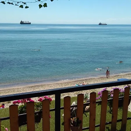 Hemingway In Happy 3*