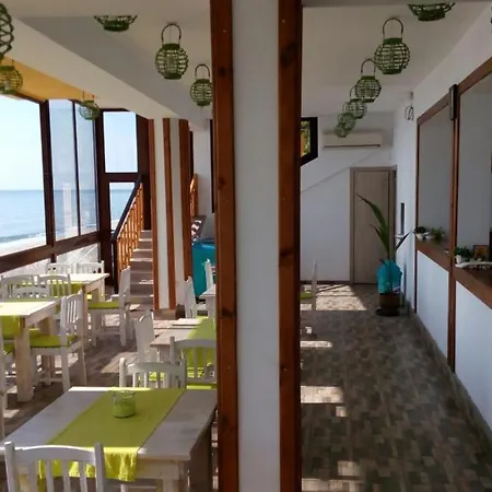 Hemingway In Happy Warna