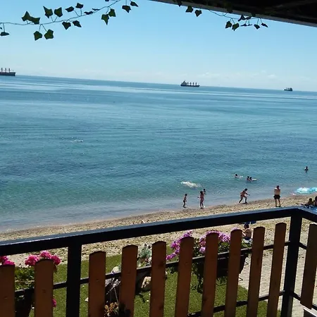 Hemingway In Happy Warna