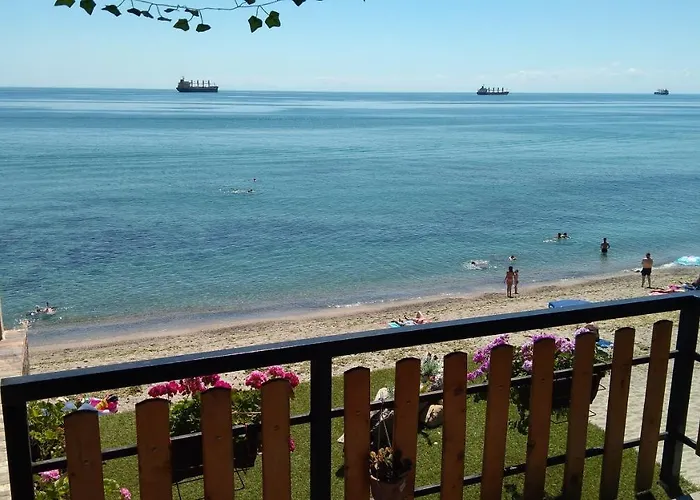 Hemingway In Happy 3*