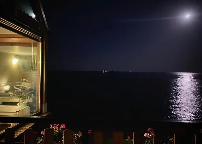 Hemingway In Happy Varna