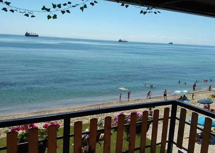 Hemingway In Happy Varna