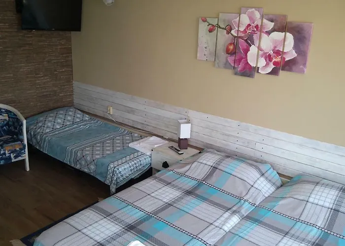 Hemingway In Happy Pensionat 3*