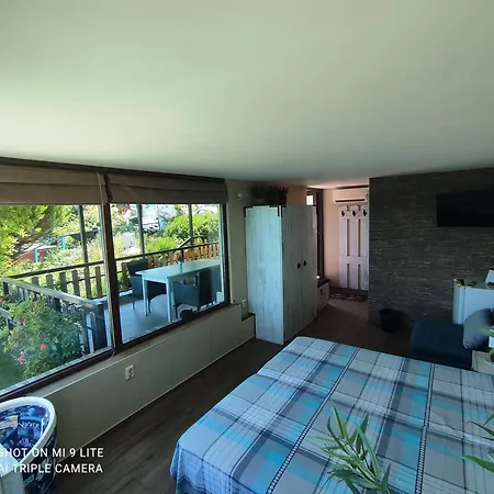 Hemingway In Happy 3*