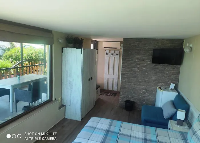 Hemingway In Happy Varna